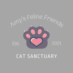 sanctuary logo